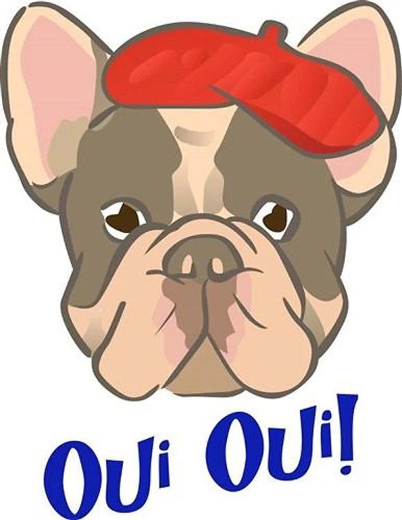 Oui Oui Bulldog
