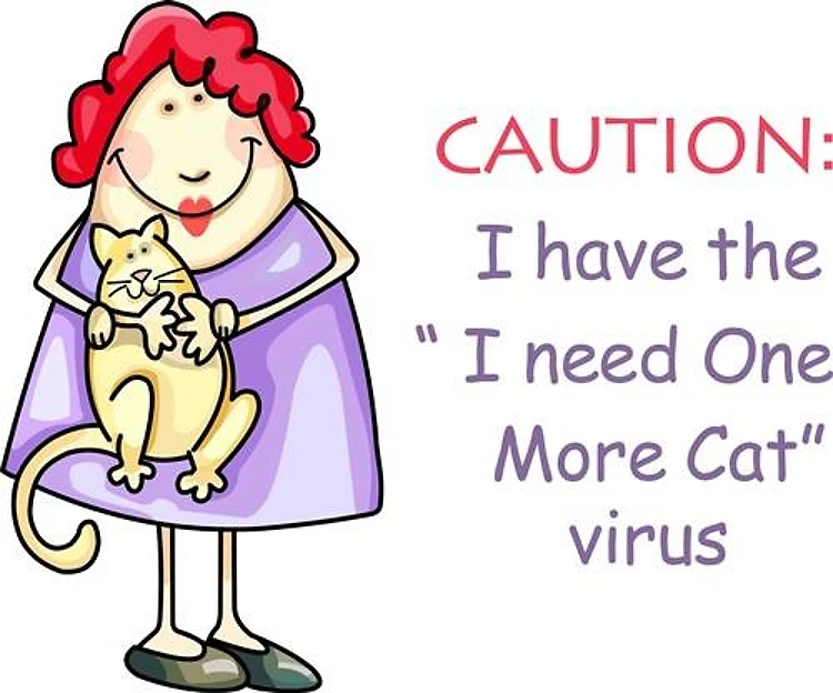 CRAZY CAT LADY