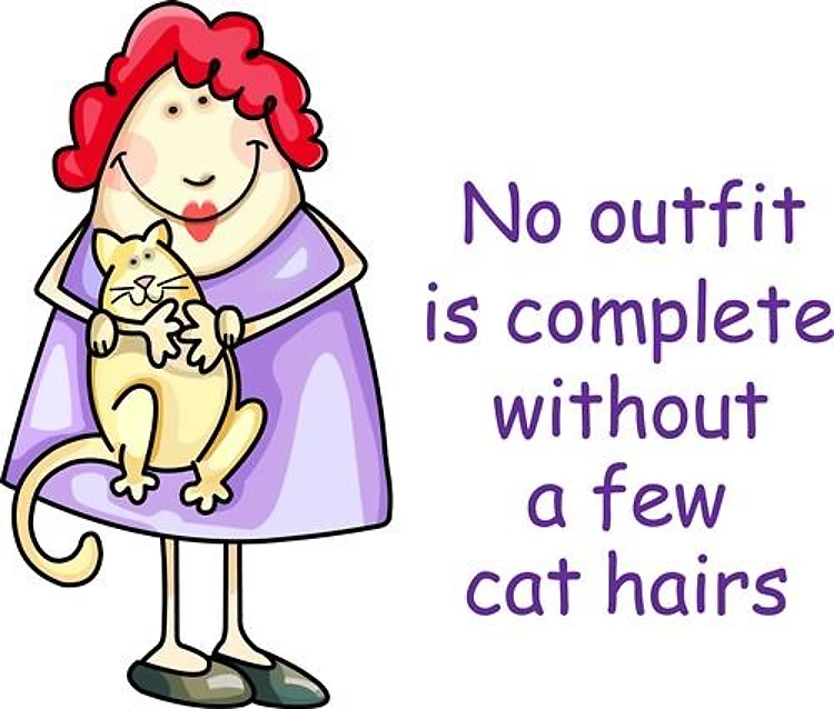 CRAZY CAT LADY