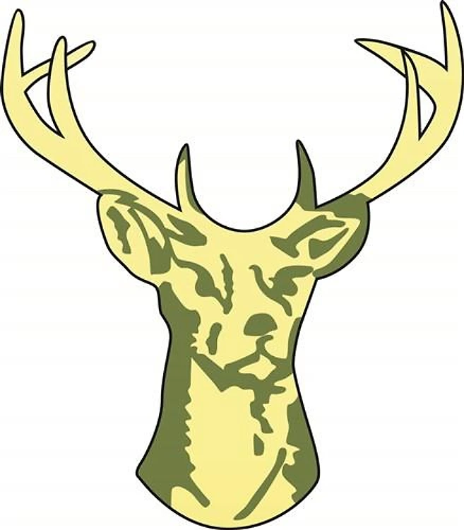 BUCK DEER HEAD