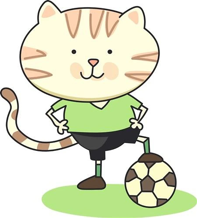 SOCCER CAT
