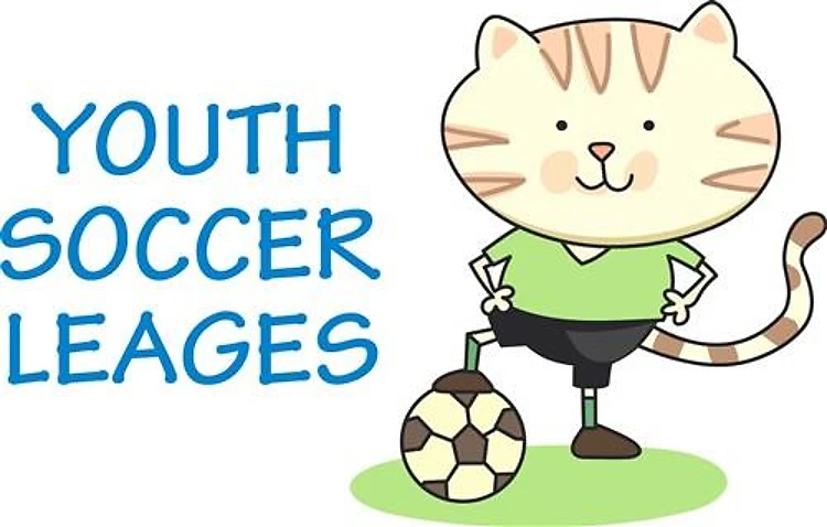YOUTH SOCCER LEAGUES
