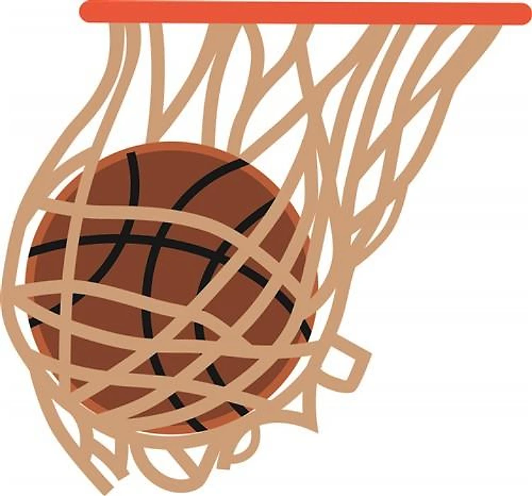 BASKETBALL IN NET