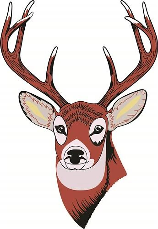 BUCK DEER