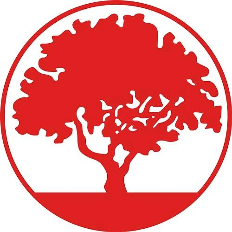 FRAMED TREE