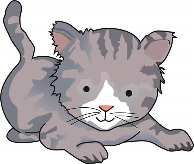 PLAYFUL KITTEN