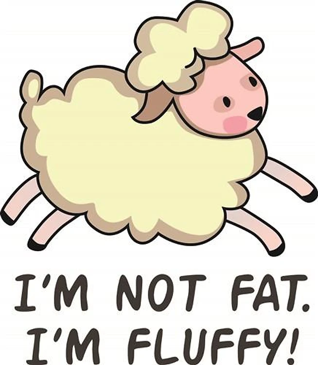 IM NOT FAT