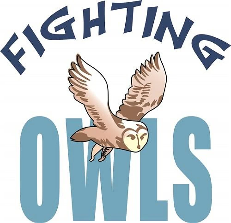 FIGHTING OWLS