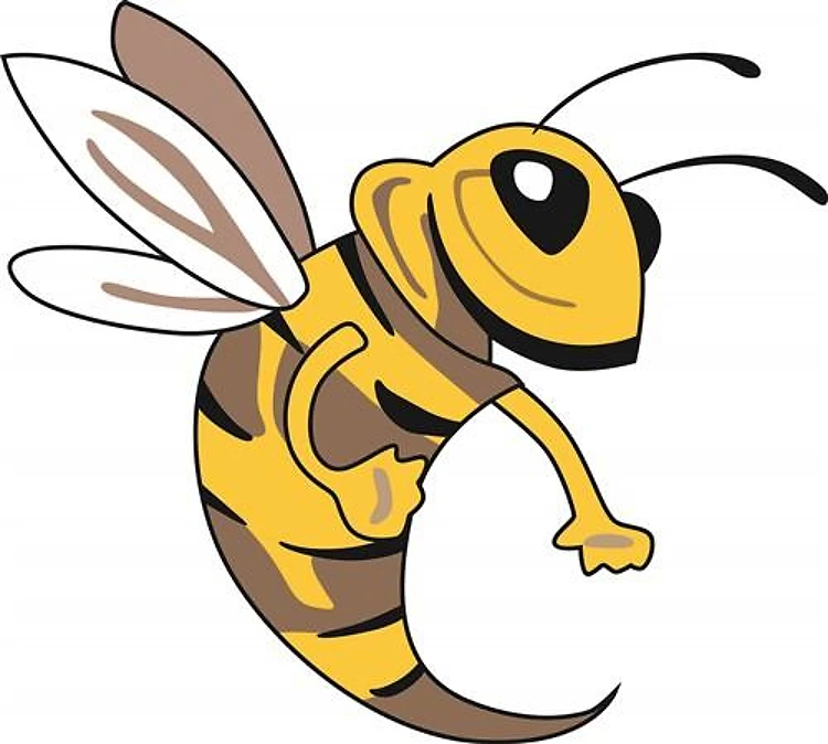 YELLOW JACKET MASCOT
