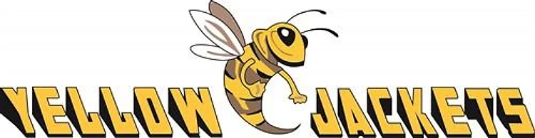 YELLOW JACKETS