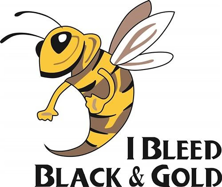 BLACK AND GOLD
