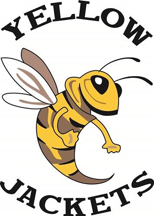 YELLOW JACKETS