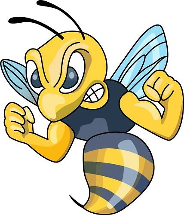 YELLOW JACKET HORNET