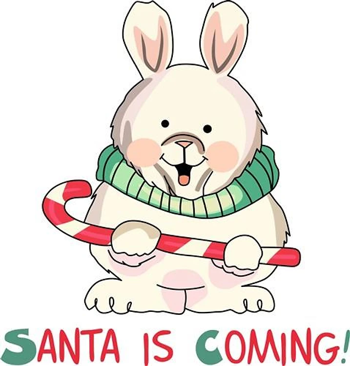 SANTA IS COMING