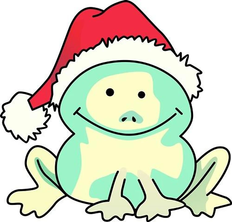 CHRISTMAS FROG