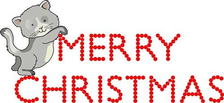 MERRY CHRISTMAS CAT