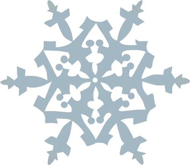 SNOWFLAKE