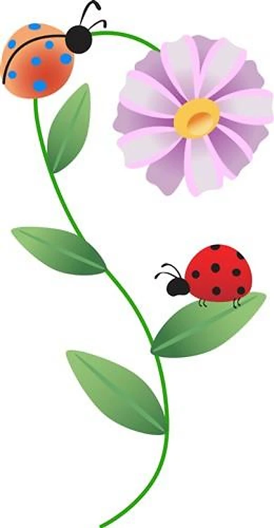 LADYBUGS ON DAISY