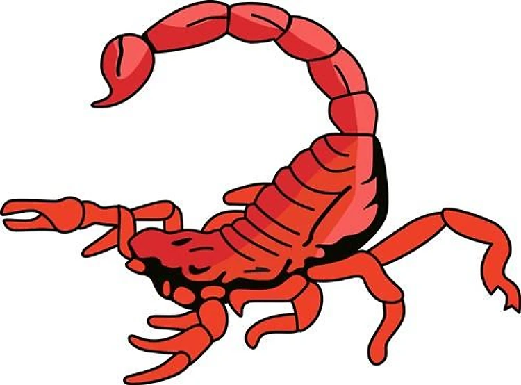 SCORPION