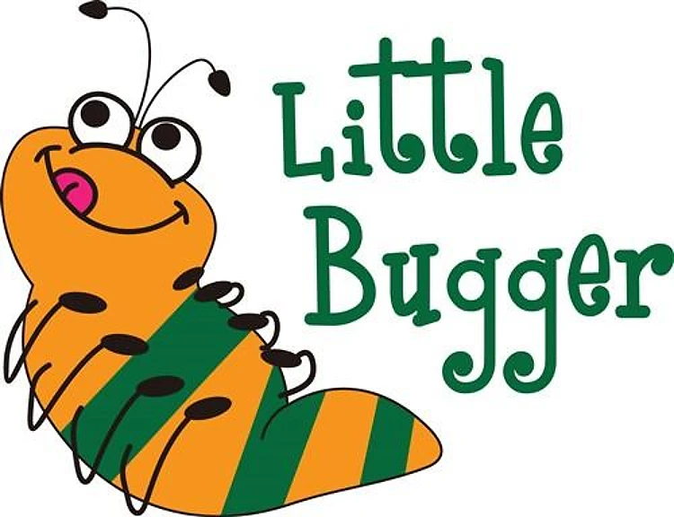 LITTLE BUGGER