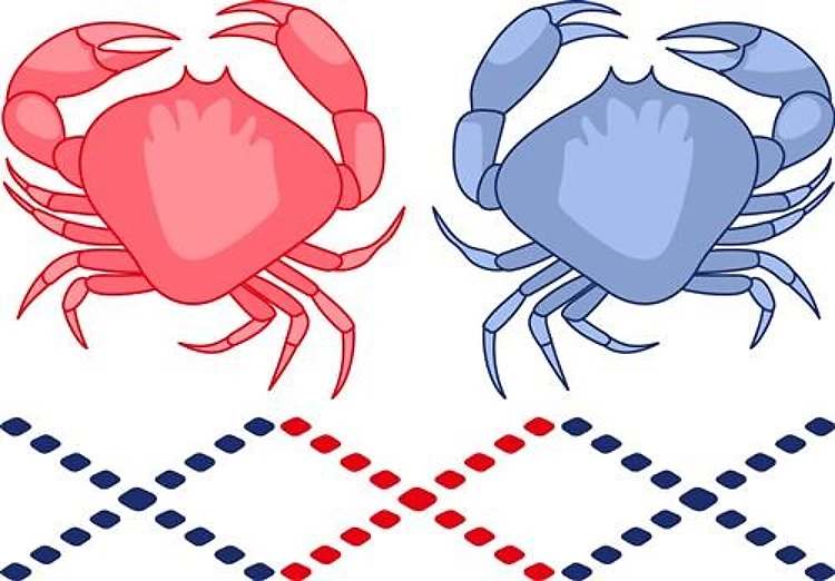 CRAB BORDER