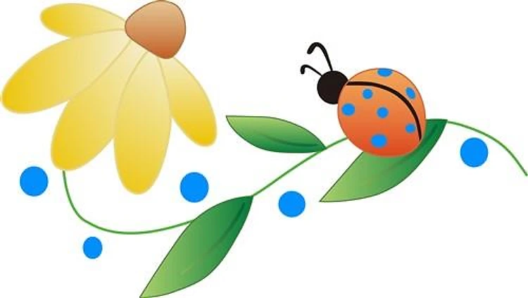 LADYBUG ON DAISY
