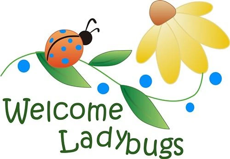 WELCOME LADYBUGS