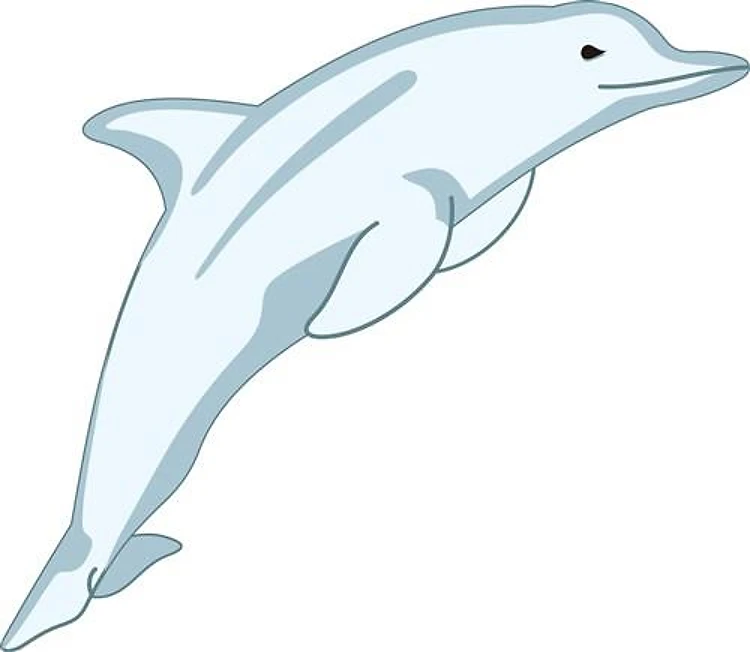 DOLPHIN