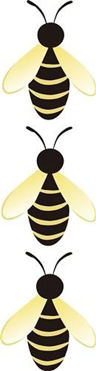 BUMBLEBEE BORDER