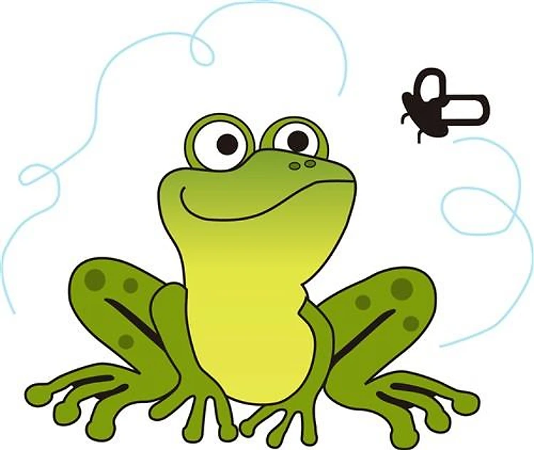 FROG AND FLY