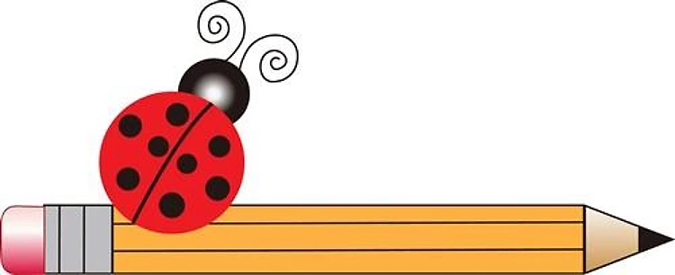 LADYBUG ON PENCIL