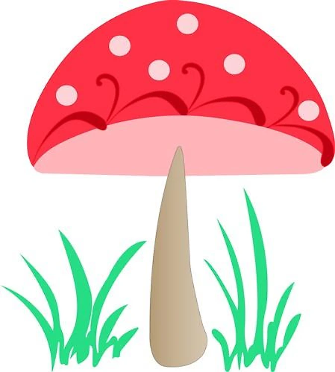 RED AND WHITE MUSHROOM