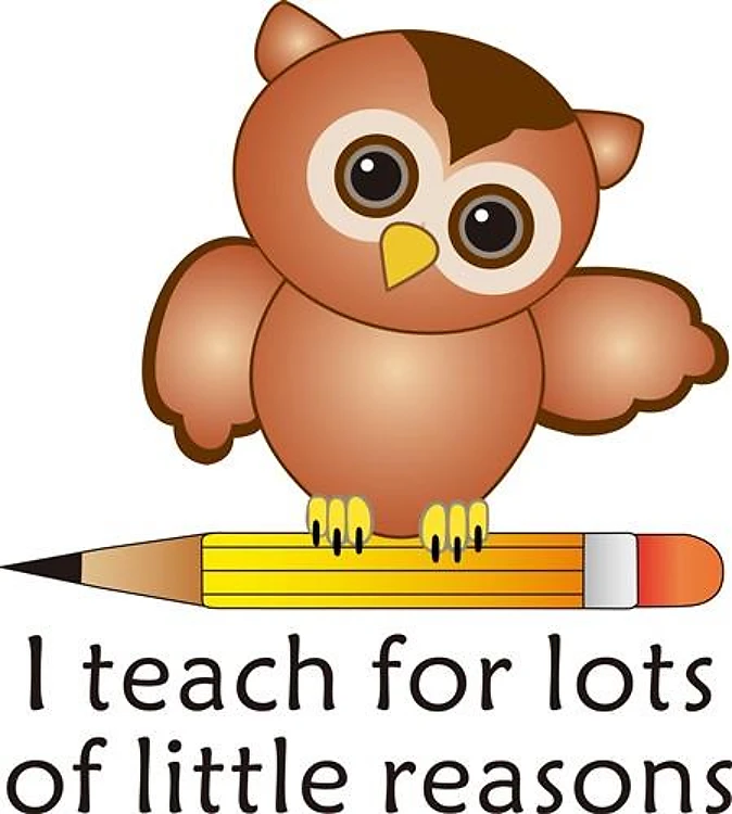I TEACH FOR LITTLE REASONS