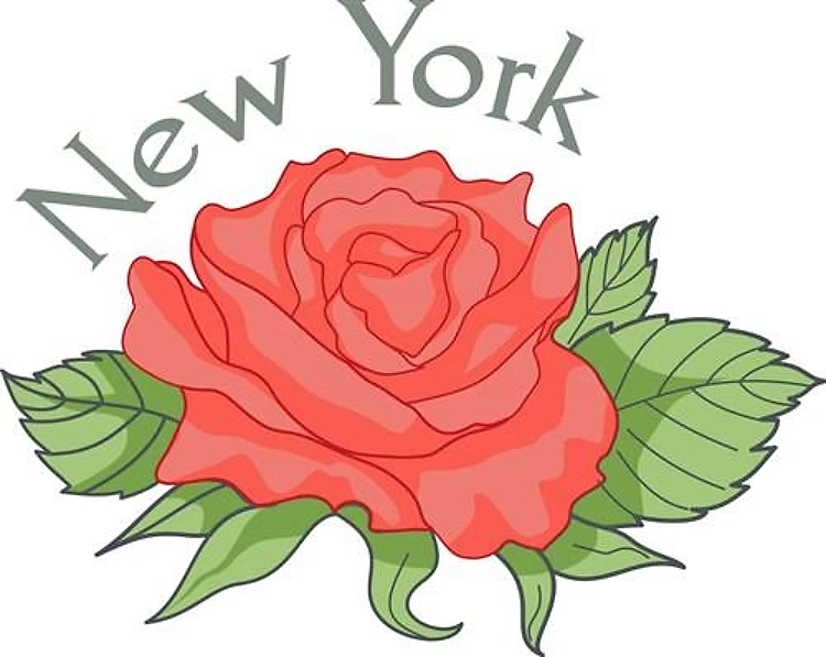 NEW YORK STATE FLOWER