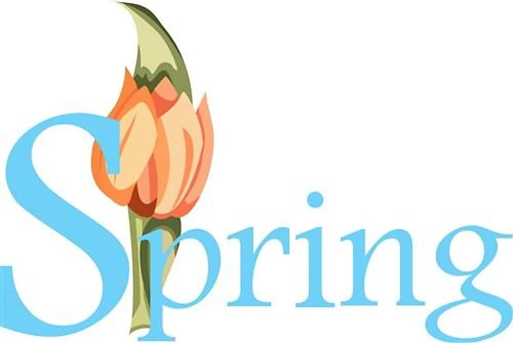 SPRING TULIP
