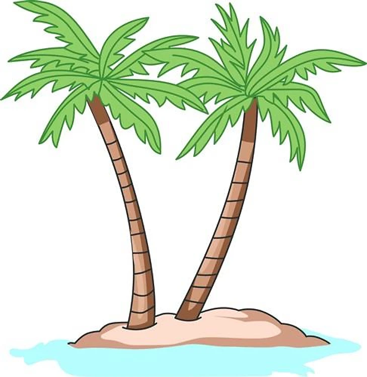 PALM TREES