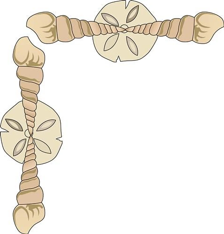 SEASHELL FRAME BORDER