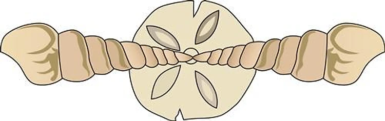 SEASHELL BORDER