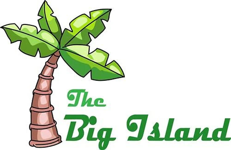 THE BIG ISLAND