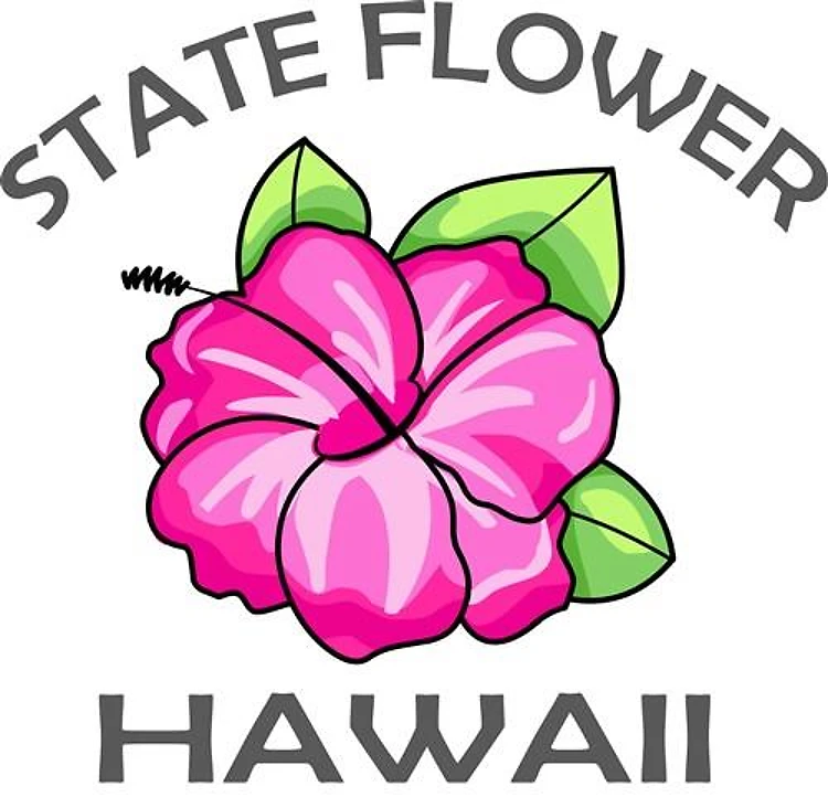 HAWAII STATE FLOWER