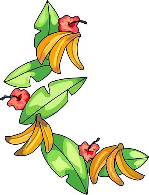 BANANA BORDER