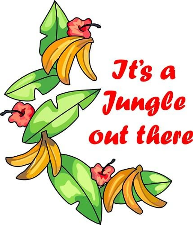 ITS A JUNGLE....