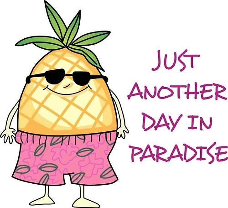 ANOTHER DAY IN PARADISE