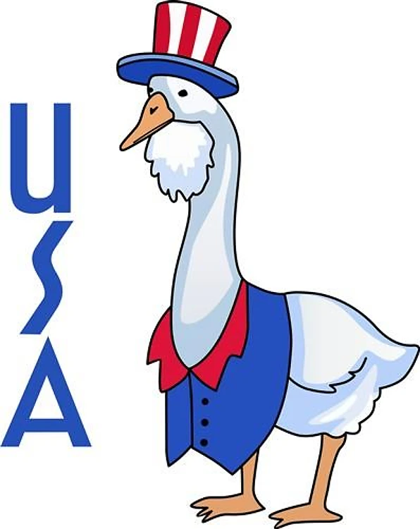 USA GOOSE