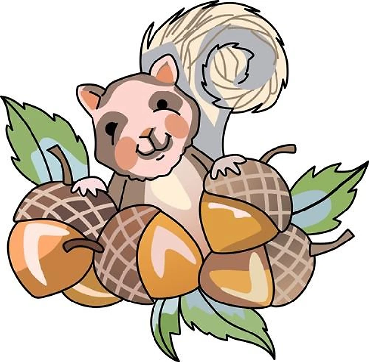 SQUIRREL WITH ACORNS