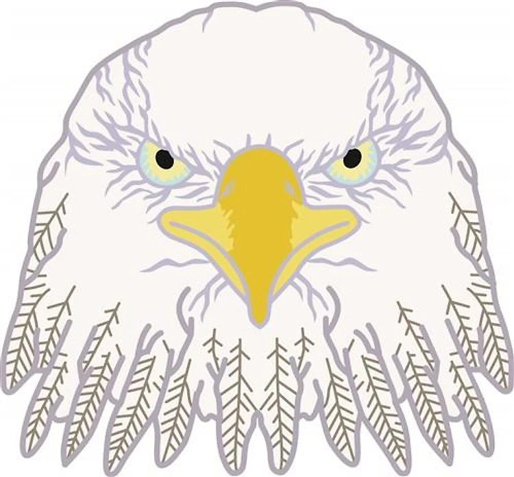 AMERICAN BALD EAGLE