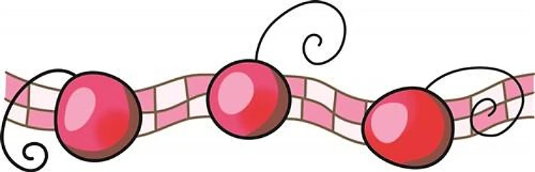 CHERRY BORDER