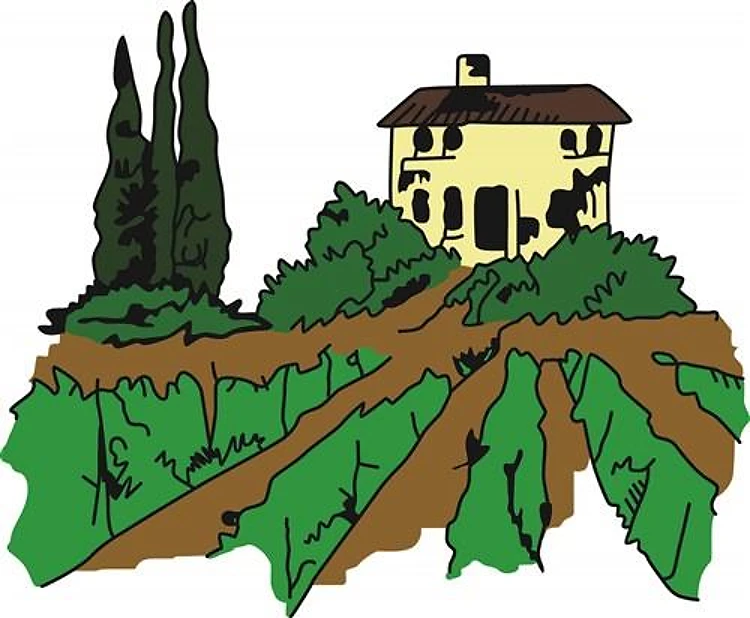 ITALIAN VINEYARD