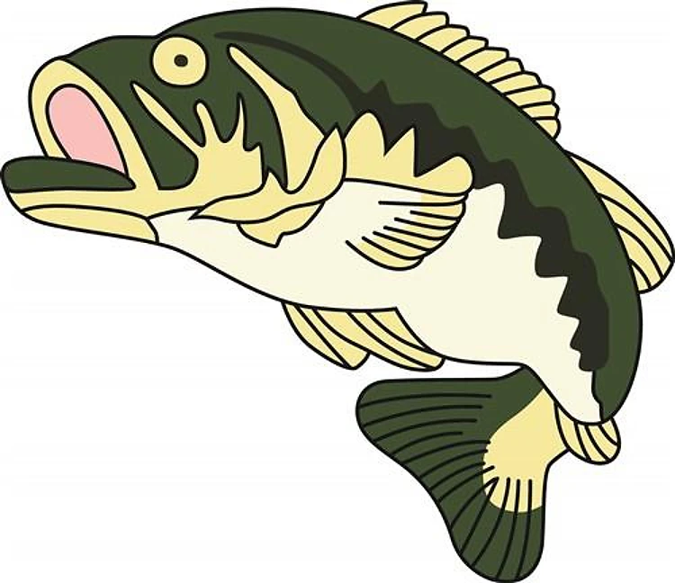 LARGE MOUTH BASS