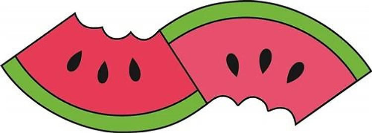 WATERMELON SLICES